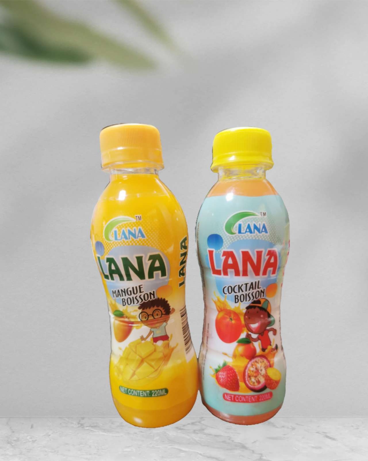 Mangue